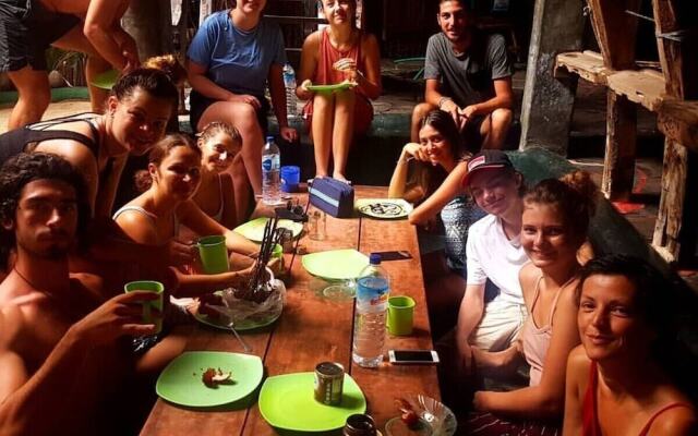The Rabbit Tree - Hostel
