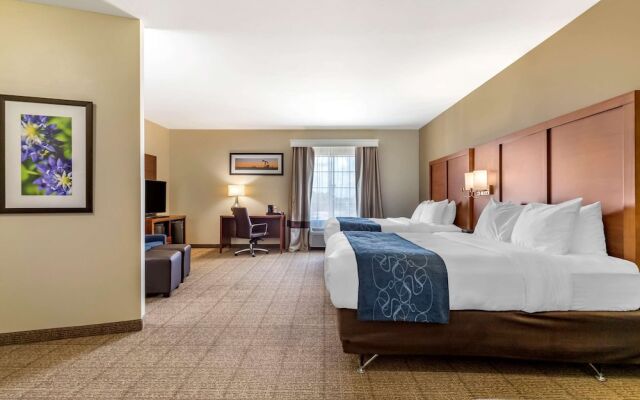 Comfort Suites Buda Austin South