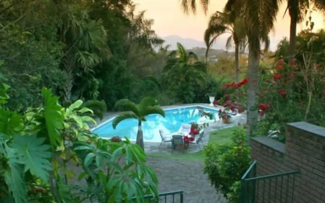 The Palms Guesthouse