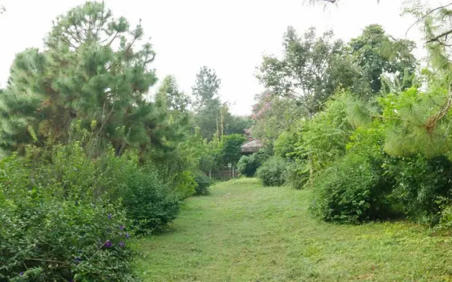 Microkosmos Guest House (Chiang Dao)