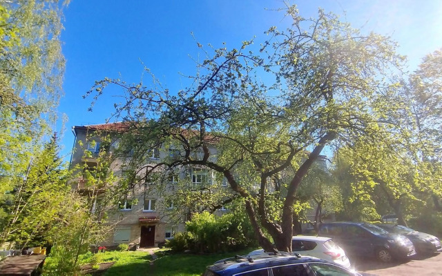 2 Rooms Apartment in Trendy Paupys