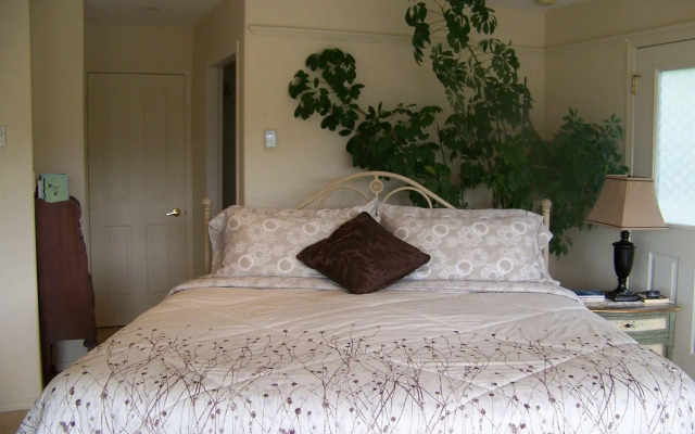 Moonlit Cove B&B