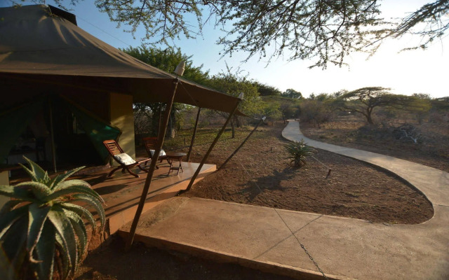 Africamps at White Elephant Safaris