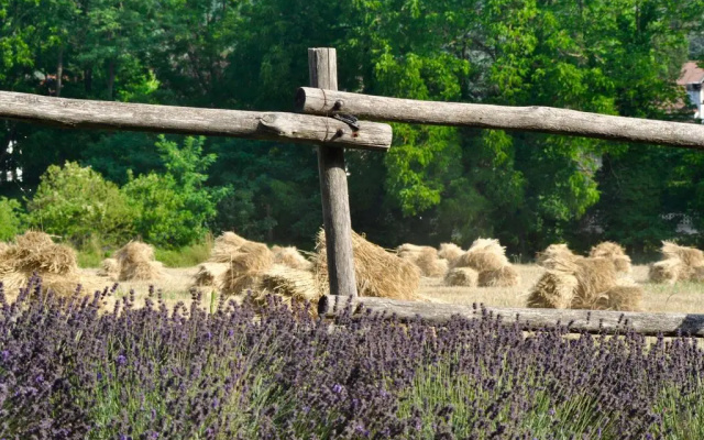 Le Macine Relais
