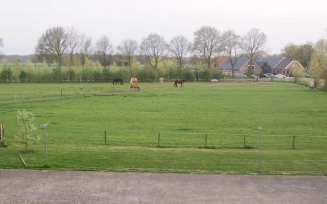 Bron van Rust