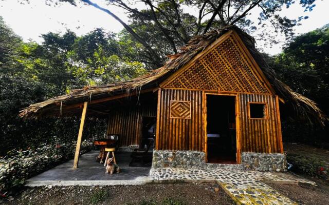 Tayrona Cachaco River
