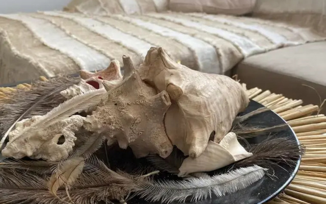 Palm Beach Vacaysuites - Palm Suite 100m2