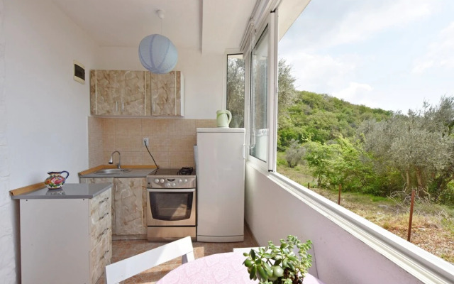 Apartments Siljak