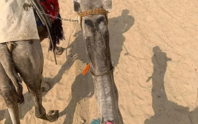 Moon life in Wadi Rum
