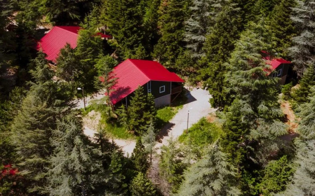 Başkonuş Yaylası Orman Evleri