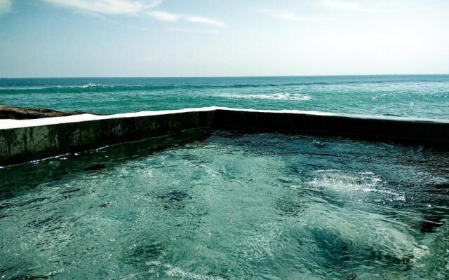 rock n reef