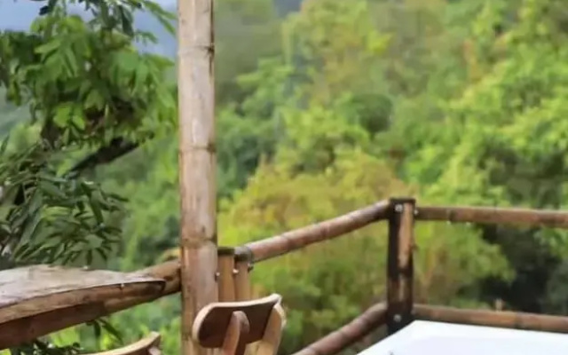 Hakuna Matata Glamping Timon