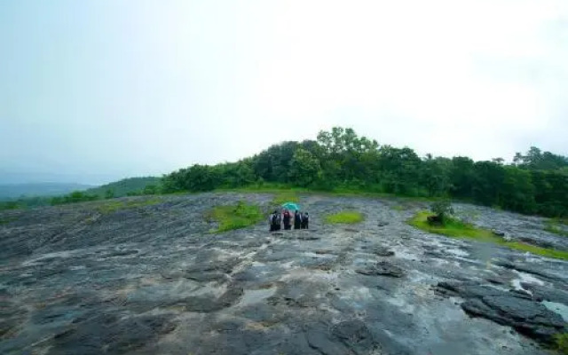 Contour Jungle Resort