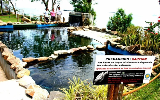 Tourist Center Of  Tours Of Panamá