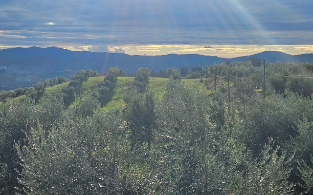 Il Peppolo Country House