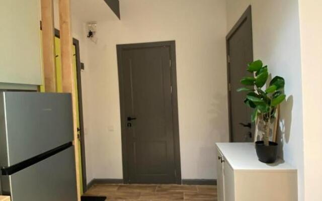 Snow Forest Bakuriani Apartment 10