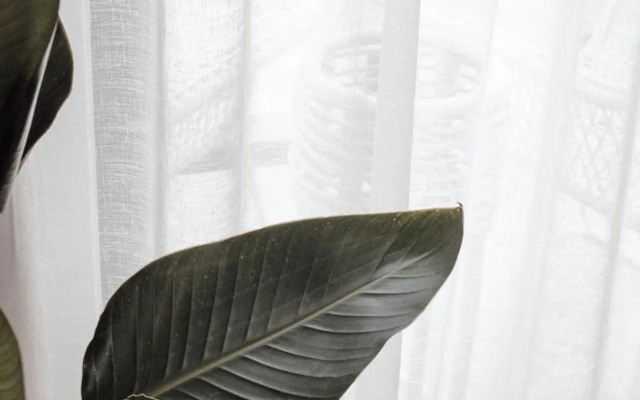 Oceanhus Port Campbell