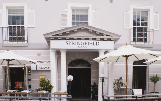 No9 Springfield