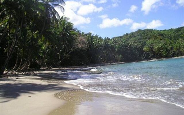 Dominica's Sea View Apartment