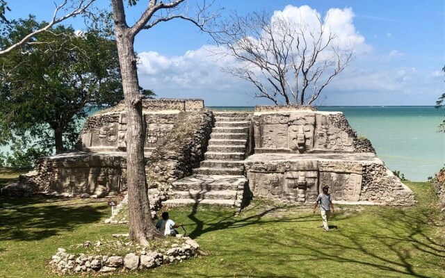Rum Punch Lodge