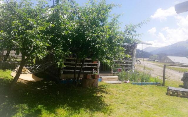 Guest House Old Omalo