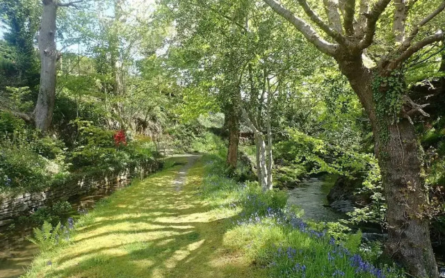 Tranquil Lodge Retreat in Penegoes