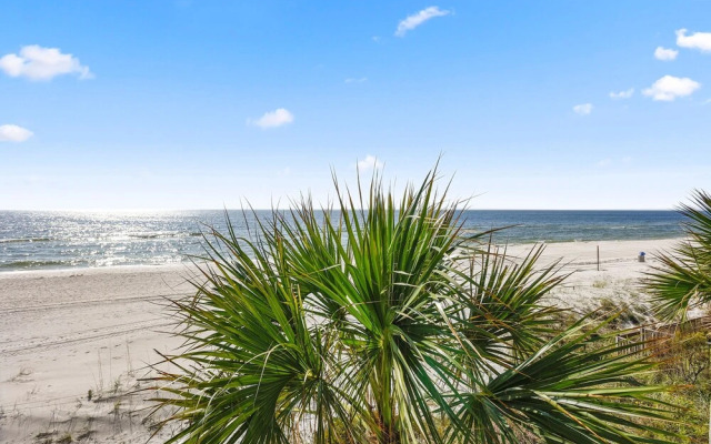 Nautical Watch B-8 by Vtrips