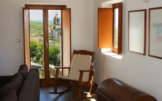 Sobreiros's Villa in Douro Valley