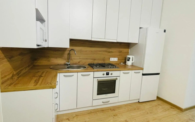 Куліша 9, центр, апартаменти біля оперного