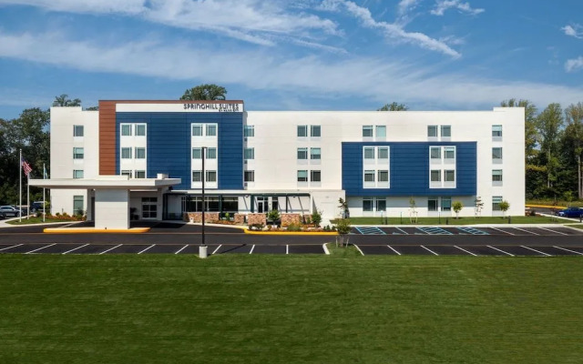 Springhill Suites By Marriott Frederica