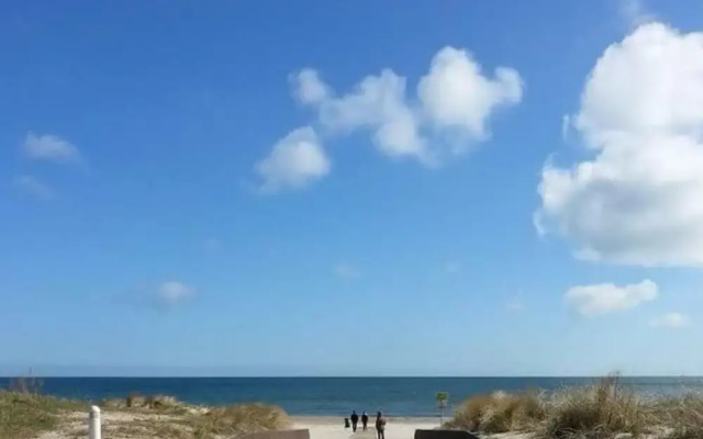 Beach Dune 18 on the Beach