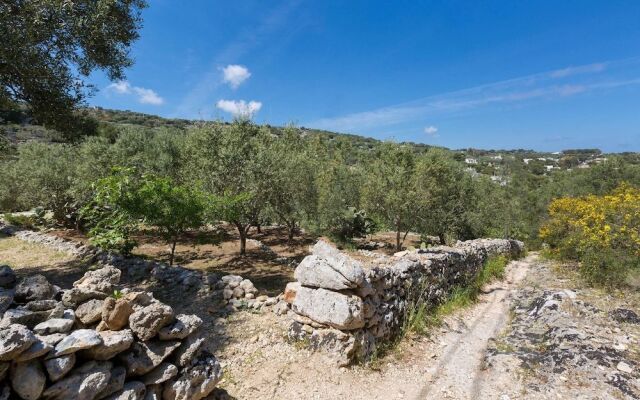 Il Giardino delle Cipolliane
