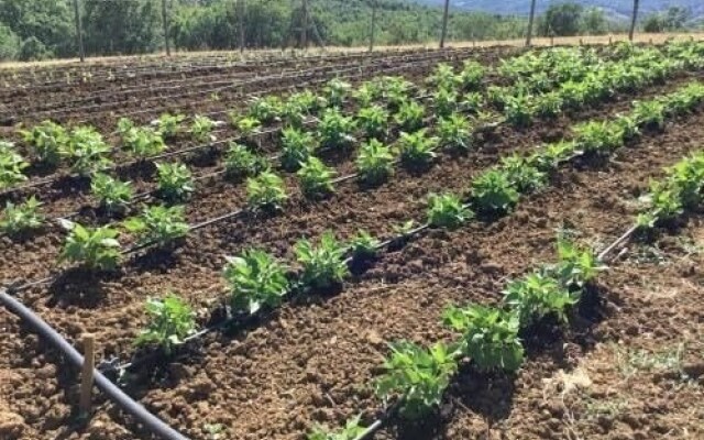 Bioagriturismo Sant'Elia