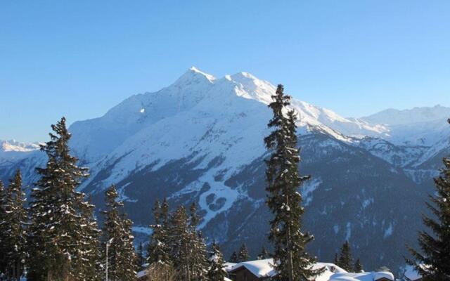 Appartement Montvalezan-La Rosière, 1 pièce, 6 personnes - FR-1-398-513