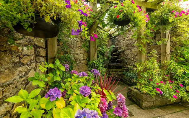 Step House Hotel