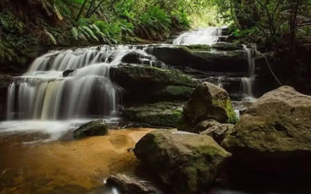 The Black Cockatoo - Secret Garden Mountains Home