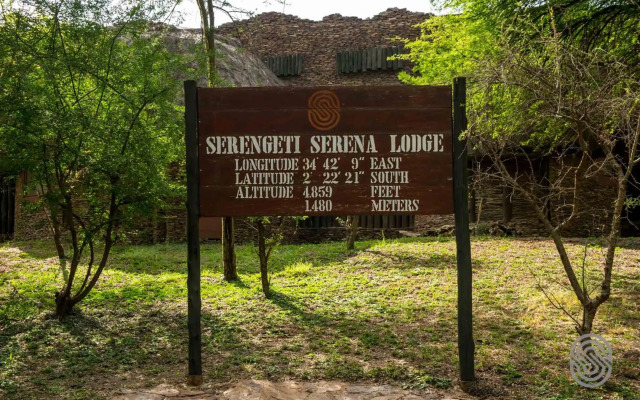 Serengeti Serena Safari Lodge