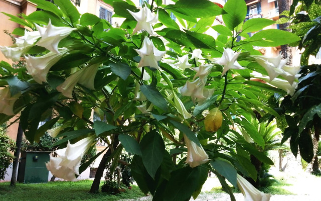 Elephant Apartment + 2 Bathrooms