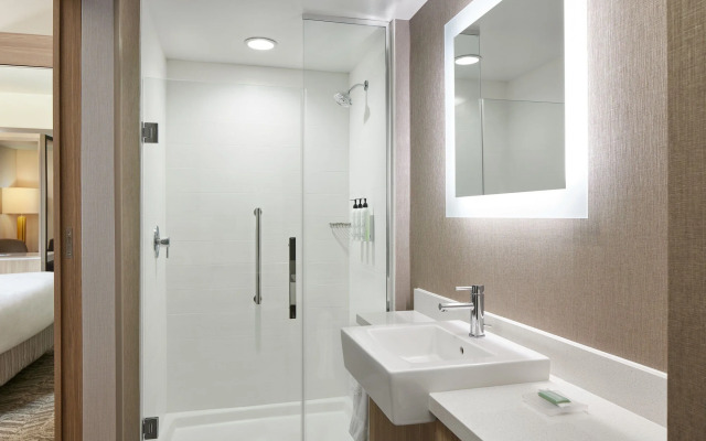 Springhill Suites By Marriott Frederica