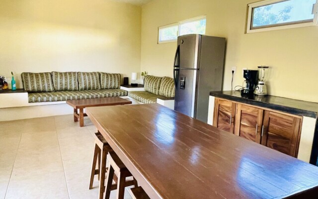 bonobo living apartments