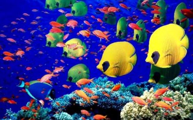 FaRoyal Luxury Suite