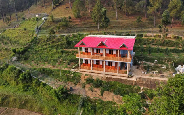 Cortland Jungle Resort