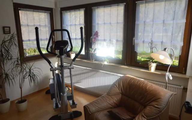 Apartment in Trittenheim With Terrace and Garden