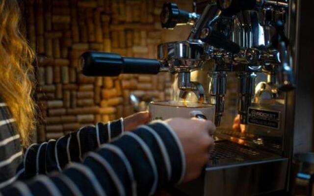 Aventure Rose Des Vents