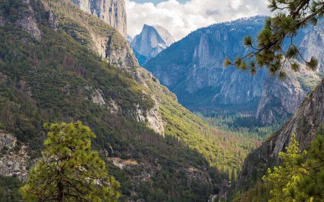 Best Western Plus Yosemite Gateway Inn