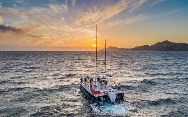 Stay in the Heart of Cabo 1 Bedroom Suite