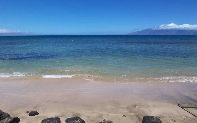 Pikake #A2 - 1 Br Condo