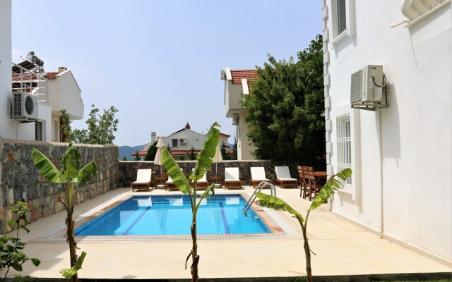 Villa Palm