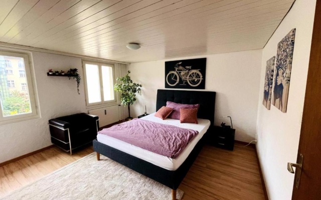 Newly Furnished Beautiful old Building Apartment in the Center With Apple TV – Guest Rooms – St. Gallen