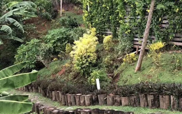 VatuVonu